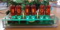 /album/fotogalerie-digitronove-hodiny/guinea-pig-2015-predek-v-chodu-zelena-jpg/